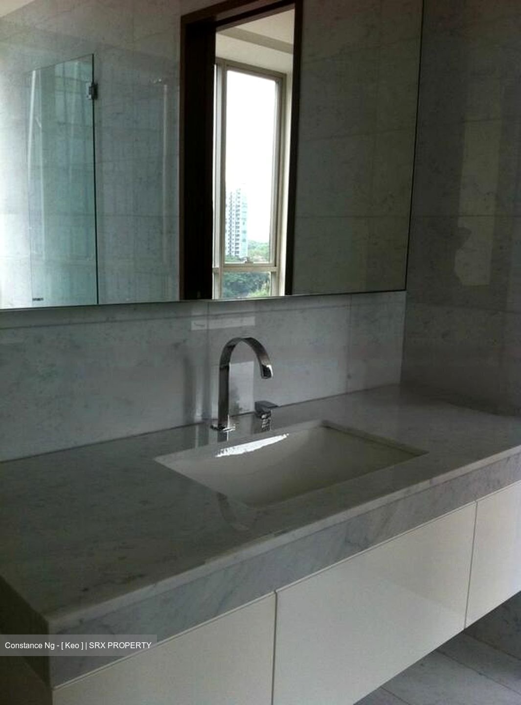 Orchard View (D9), Apartment #456618451